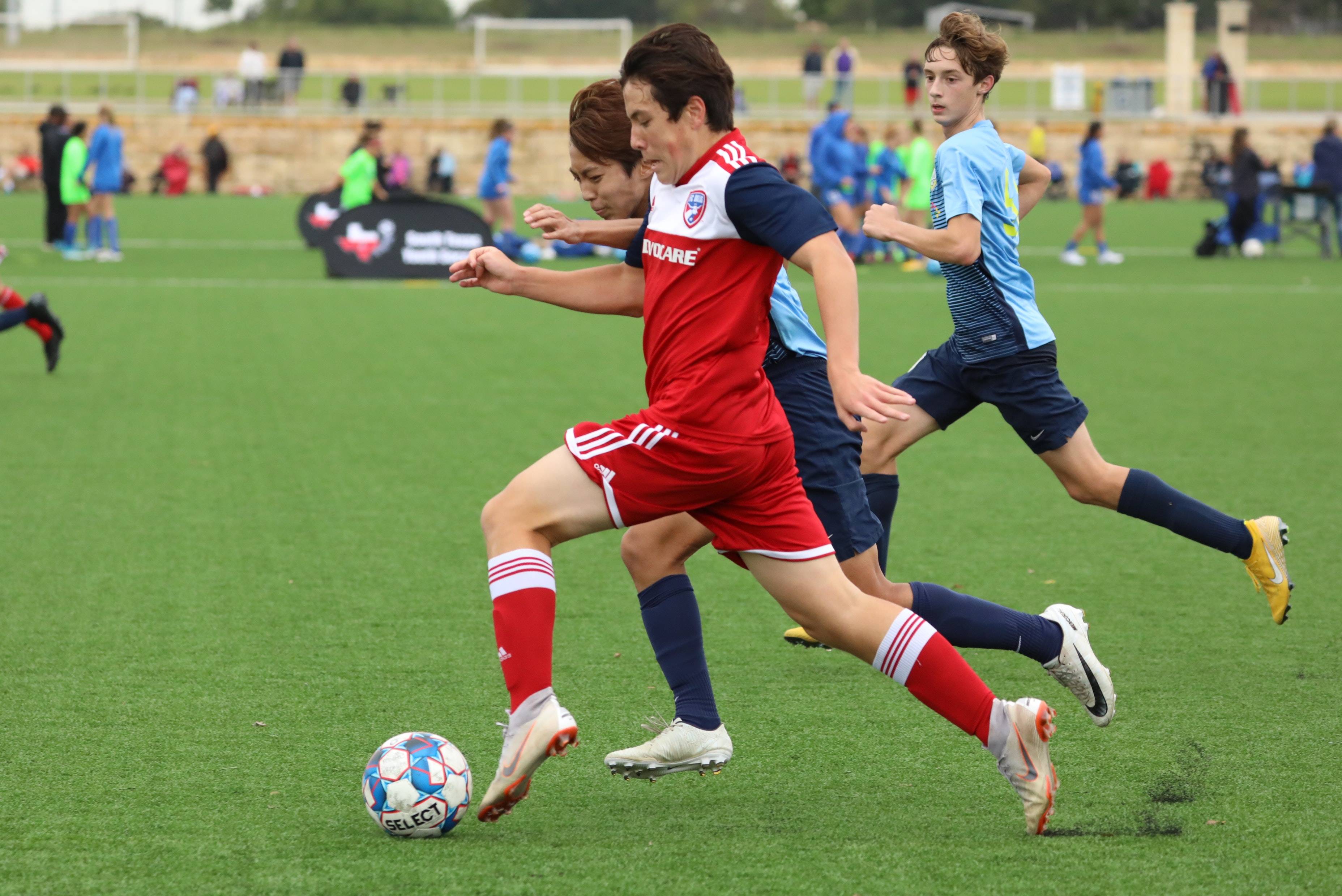 事实真相 事实真相