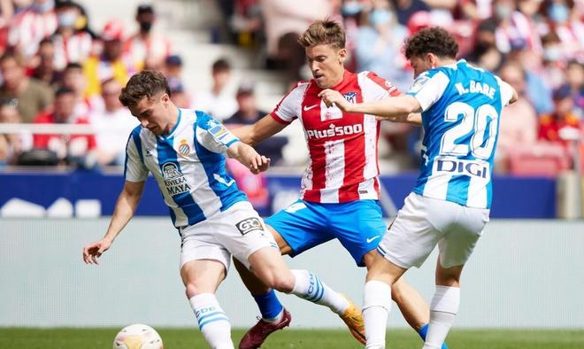 贵的素材 贵的素材